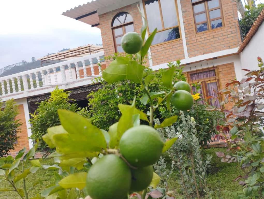 Cabana Las Marias Villa Chinácota Exterior foto